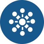 Blz SVG Icon